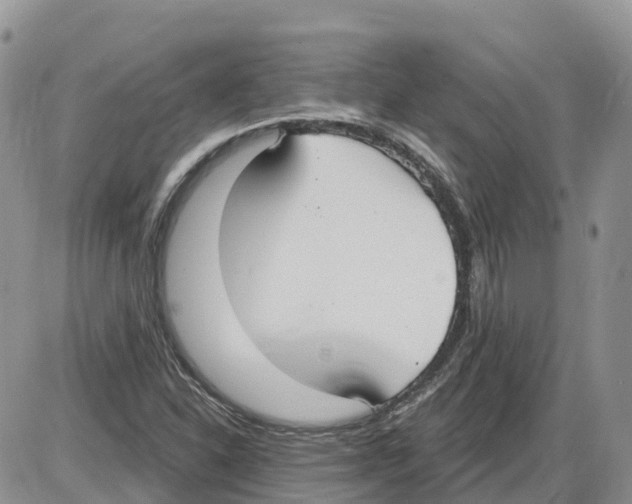 X0000086001310200704201821