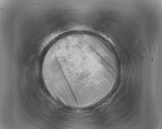 X0000086001311200704201821