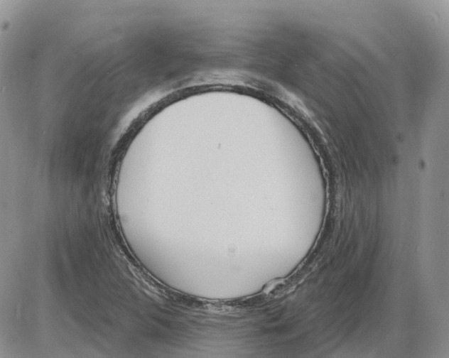 X0000086001312200704201821