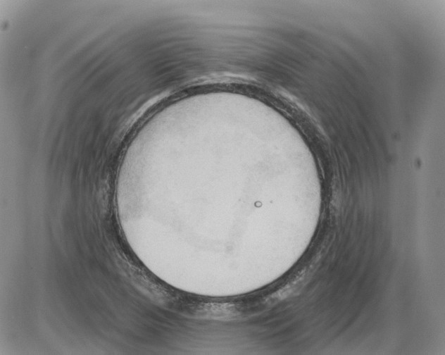 X0000086001313200704201821