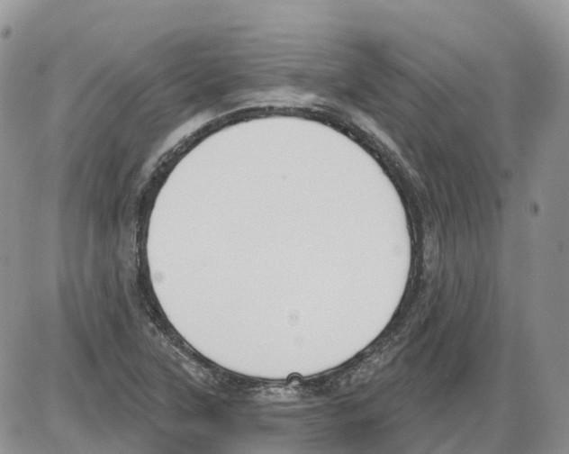 X0000086001315200704201821