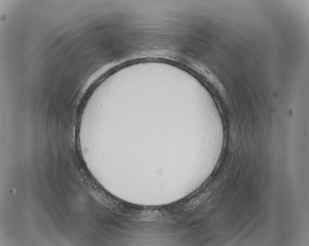 X0000086001316200704201821