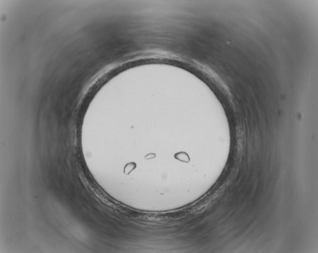 X0000086001318200704201821