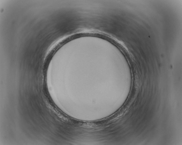 X0000086001319200704201821