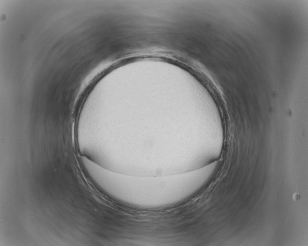 X0000086001320200704201821