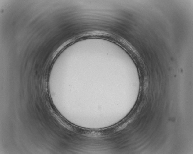 X0000086001321200704201821