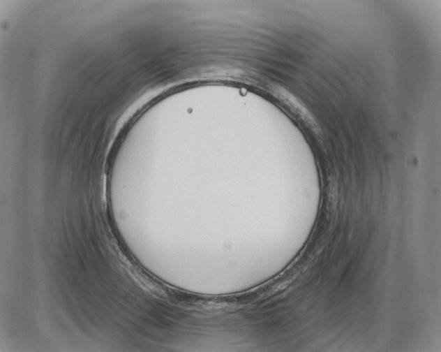 X0000086001324200704201821