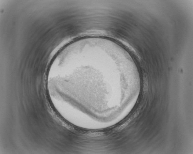 X0000086001325200704201822