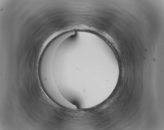 X0000086001326200704201822