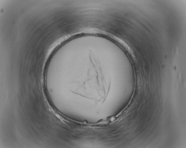 X0000086001327200704201822