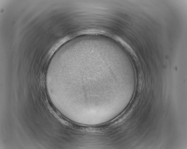 X0000086001329200704201822