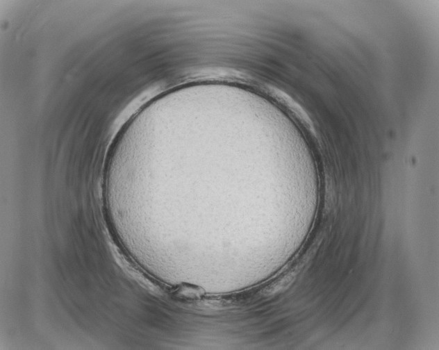 X0000086001330200704201822