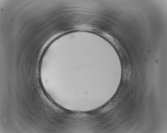 X0000086001331200704201822