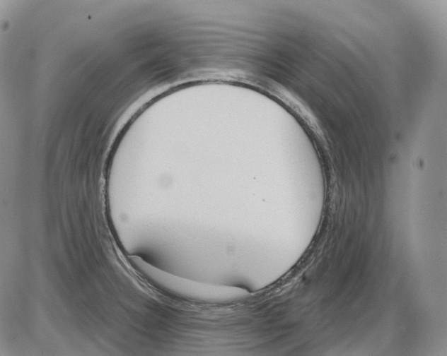 X0000086001332200704201822