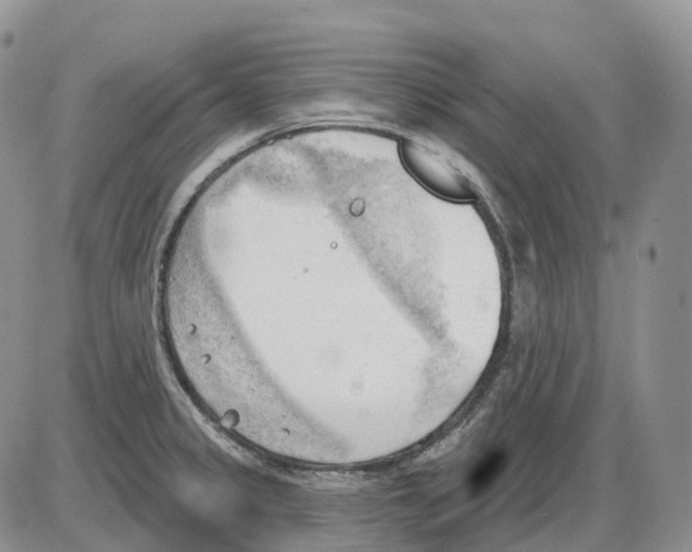 X0000086001333200704201822