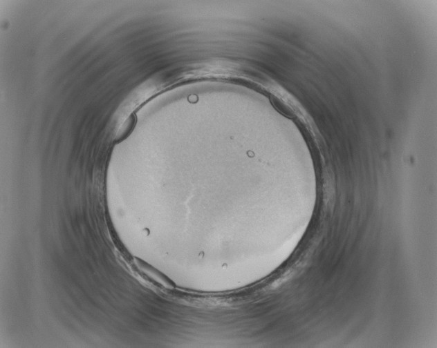 X0000086001337200704201822