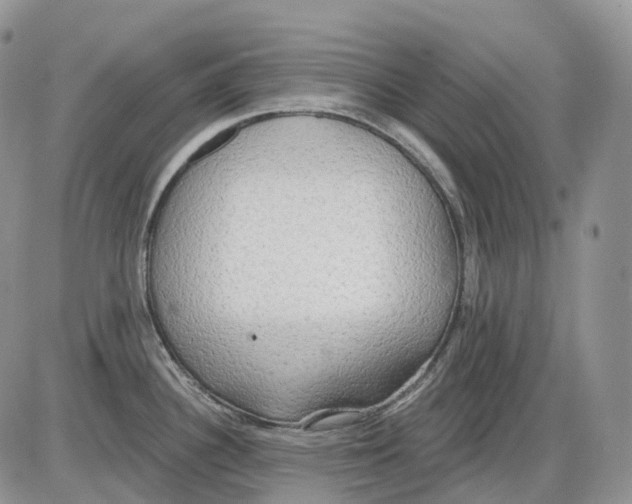 X0000086001340200704201822