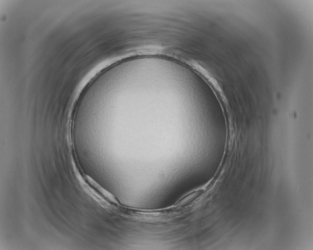 X0000086001342200704201822