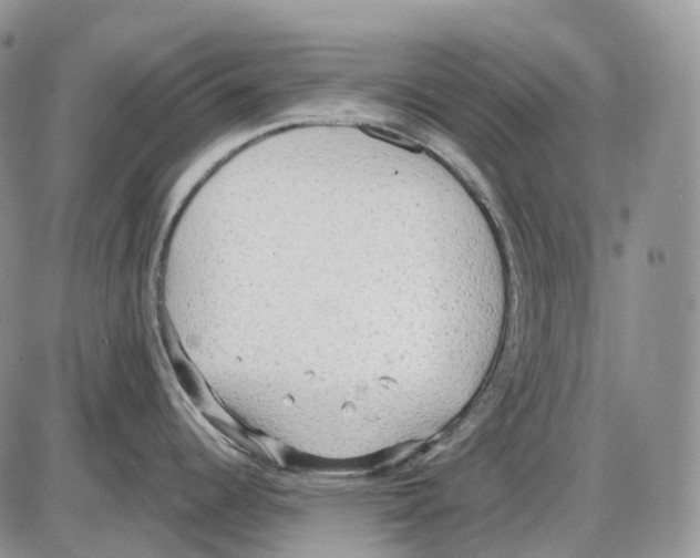 X0000086001344200704201822