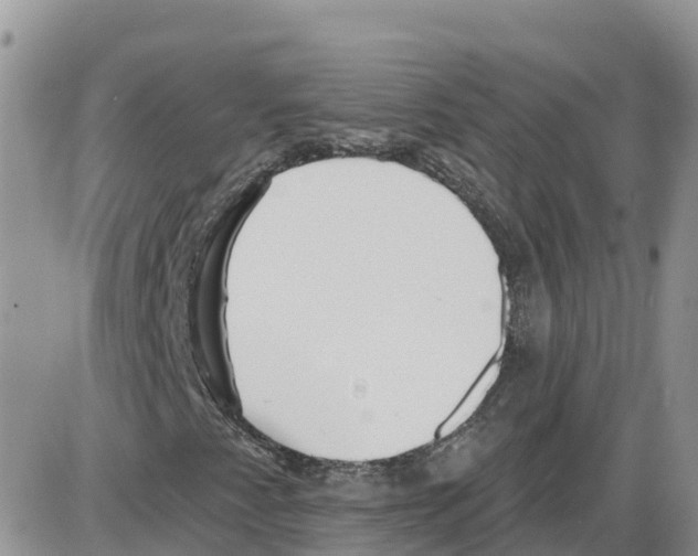 X0000086001345200704201821