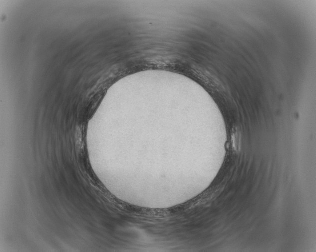 X0000086001347200704201821