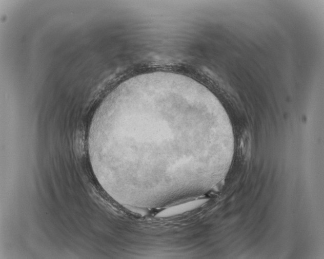 X0000086001348200704201821