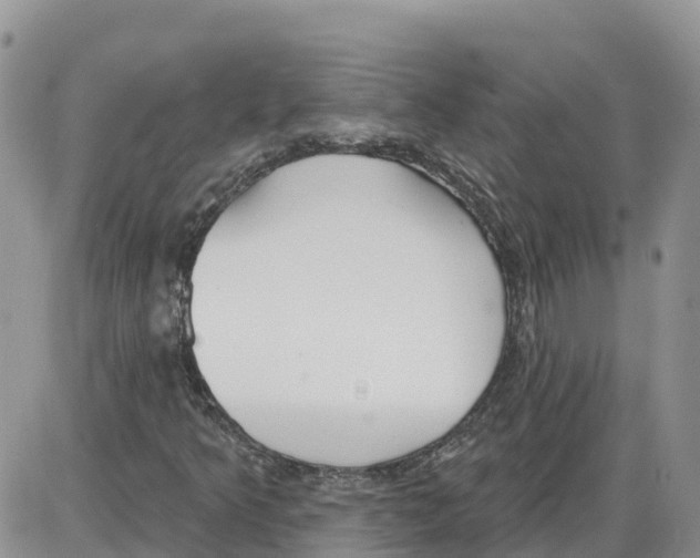 X0000086001349200704201821