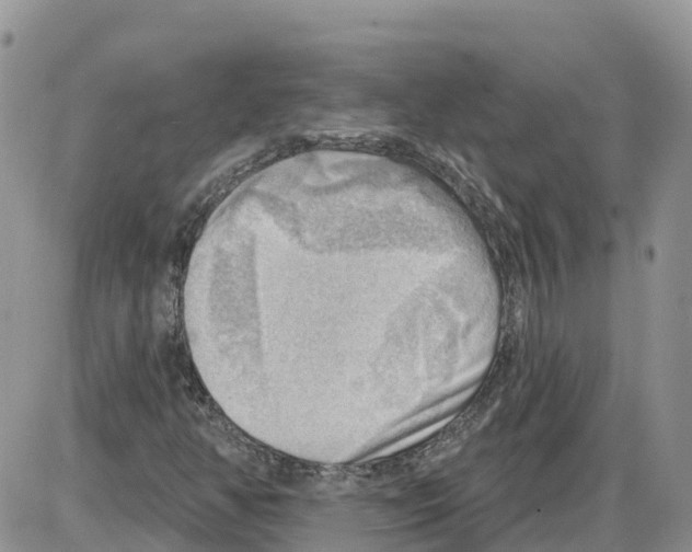 X0000086001350200704201821