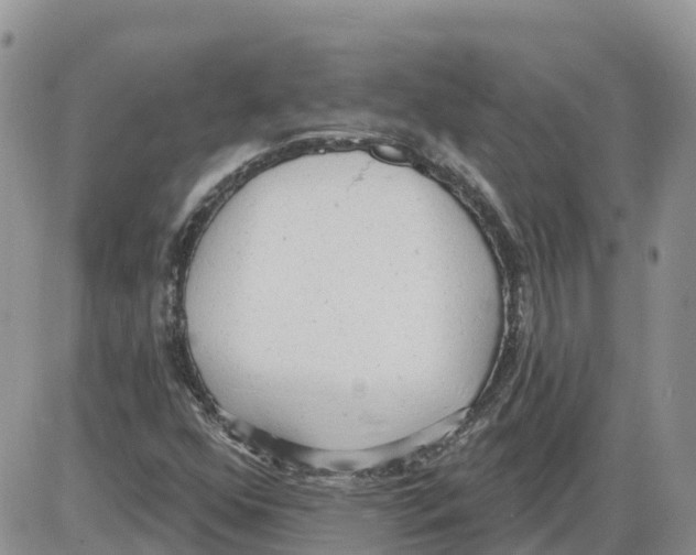 X0000086001352200704201821