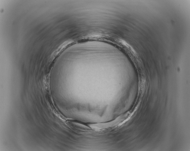 X0000086001353200704201821