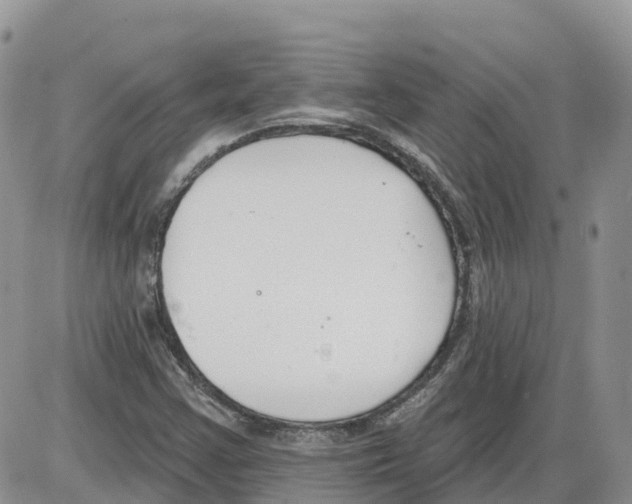 X0000086001355200704201821