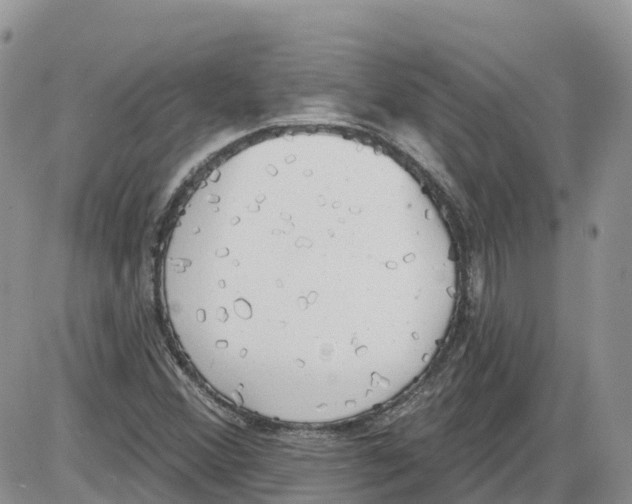 X0000086001356200704201821