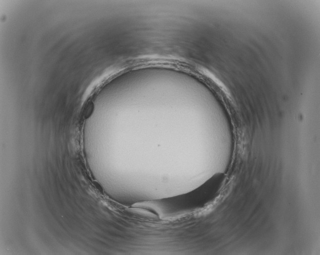 X0000086001357200704201821