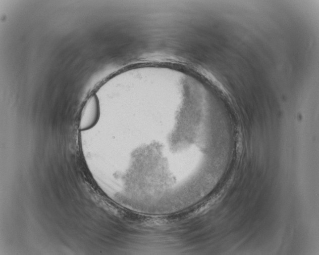 X0000086001358200704201821