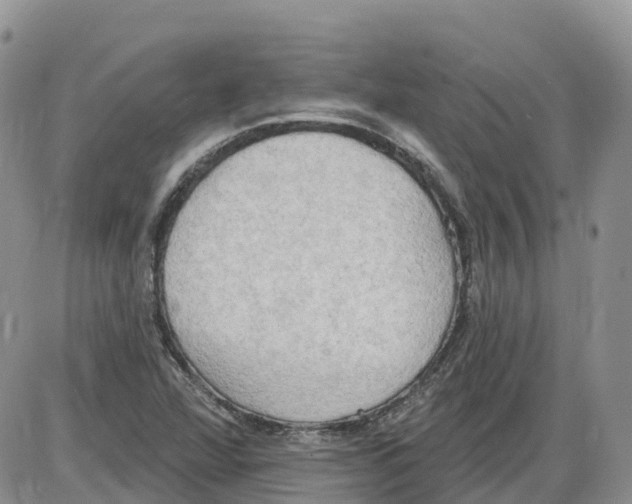 X0000086001360200704201821