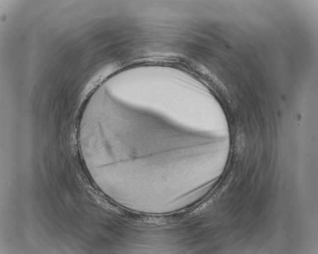 X0000086001362200704201821