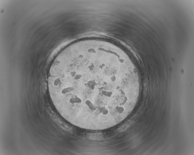 X0000086001363200704201821