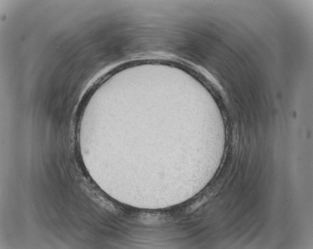 X0000086001364200704201821