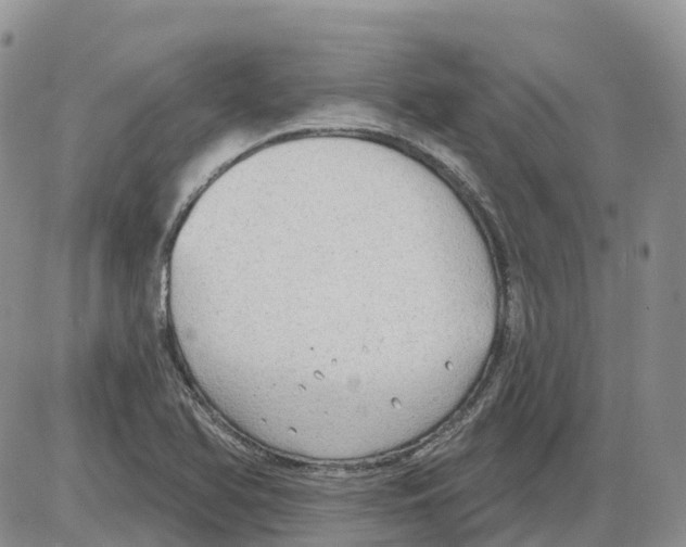 X0000086001366200704201821