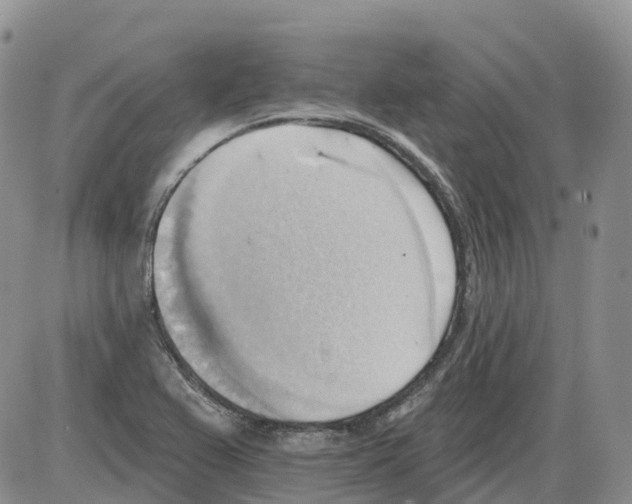 X0000086001367200704201821