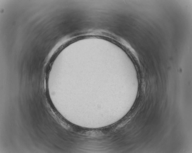 X0000086001368200704201821