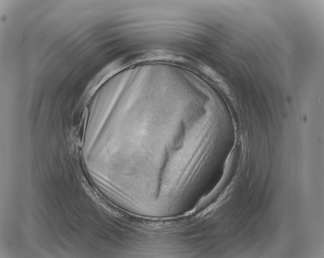 X0000086001369200704201821