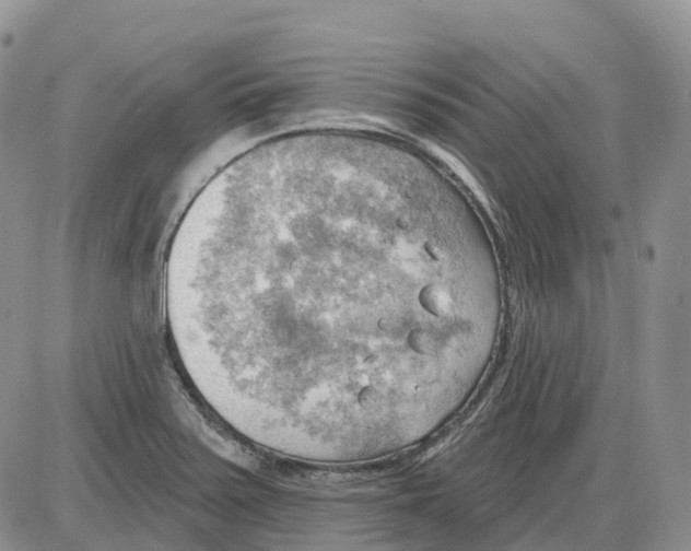 X0000086001371200704201821