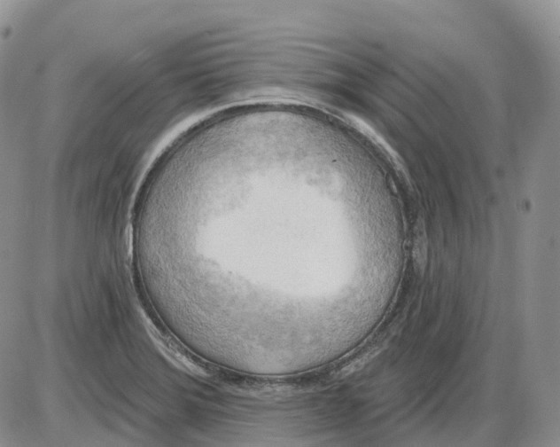 X0000086001372200704201821