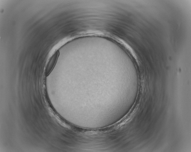 X0000086001373200704201821