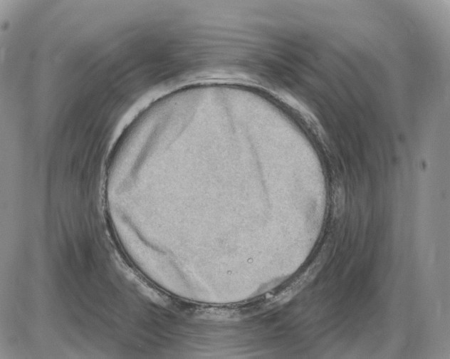 X0000086001374200704201821