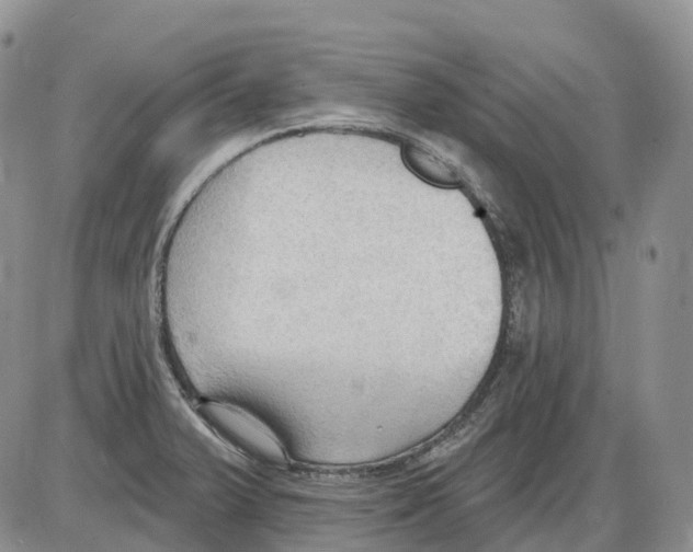 X0000086001375200704201821