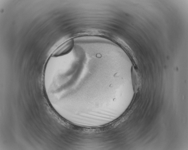 X0000086001378200704201821