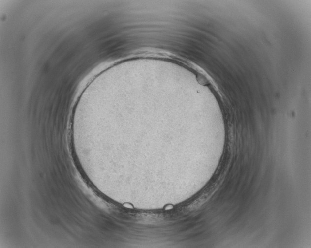 X0000086001379200704201820