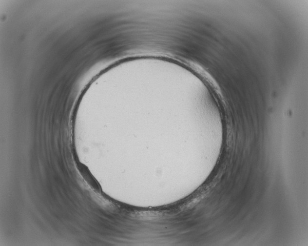 X0000086001380200704201820